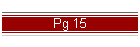 Pg 15