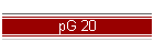 pG 20