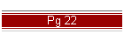 Pg 22