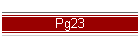 Pg23